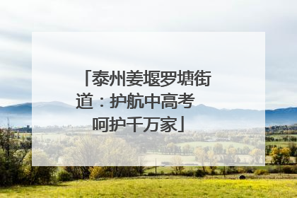 泰州姜堰罗塘街道：护航中高考 呵护千万家