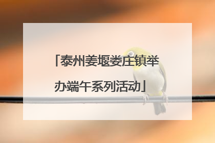 泰州姜堰娄庄镇举办端午系列活动