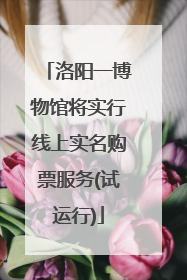 洛阳一博物馆将实行线上实名购票服务(试运行)