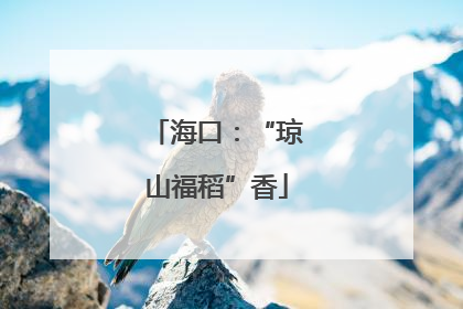 海口：“琼山福稻”香