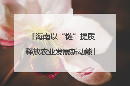 海南以“链”提质 释放农业发展新动能