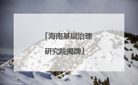海南基层治理研究院揭牌