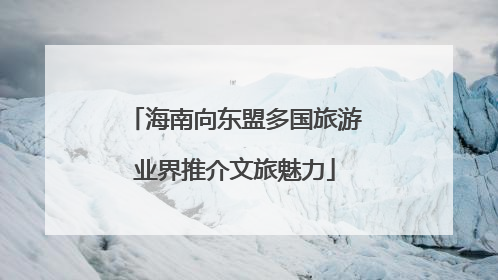 海南向东盟多国旅游业界推介文旅魅力
