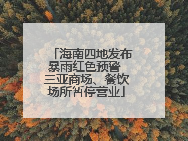 海南四地发布暴雨红色预警 三亚商场、餐饮场所暂停营业