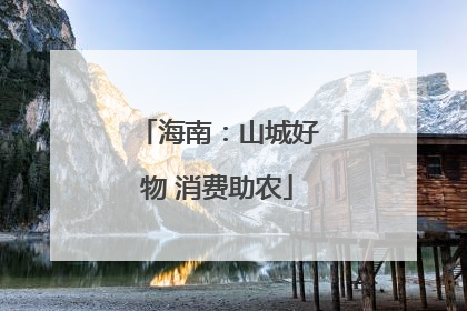 海南：山城好物 消费助农