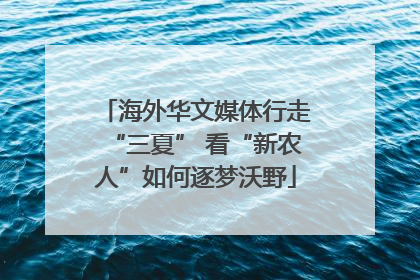 海外华文媒体行走“三夏” 看“新农人”如何逐梦沃野