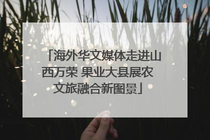海外华文媒体走进山西万荣 果业大县展农文旅融合新图景
