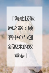 海底捞破局之路：顾客中心与创新源泉的双重奏
