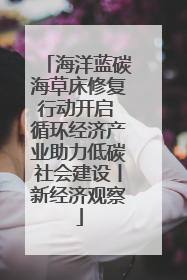 海洋蓝碳海草床修复行动开启 循环经济产业助力低碳社会建设丨新经济观察