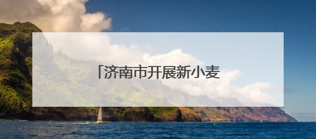 济南市开展新小麦市场行情专项调研