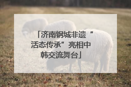 济南钢城非遗“活态传承”亮相中韩交流舞台