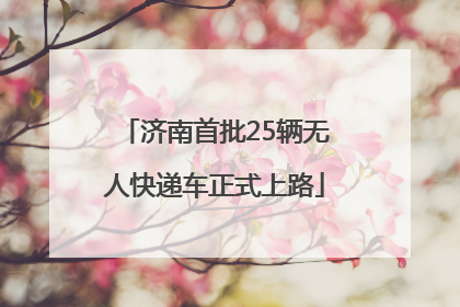 济南首批25辆无人快递车正式上路