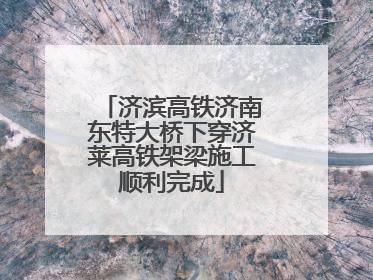济滨高铁济南东特大桥下穿济莱高铁架梁施工顺利完成