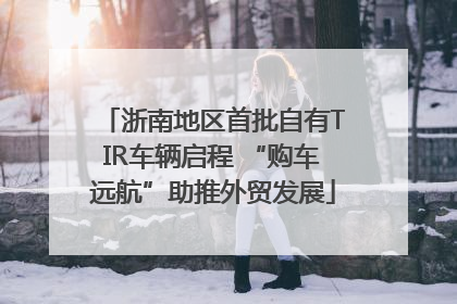 浙南地区首批自有TIR车辆启程 “购车远航”助推外贸发展