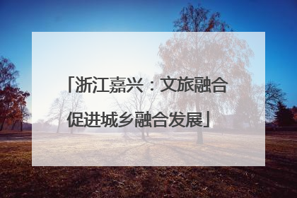 浙江嘉兴：文旅融合促进城乡融合发展