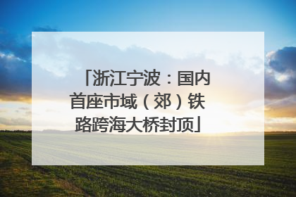 浙江宁波：国内首座市域（郊）铁路跨海大桥封顶