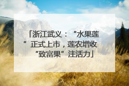 浙江武义：“水果莲”正式上市，莲农增收“致富果”注活力