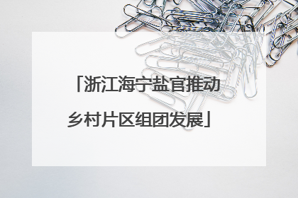 浙江海宁盐官推动乡村片区组团发展