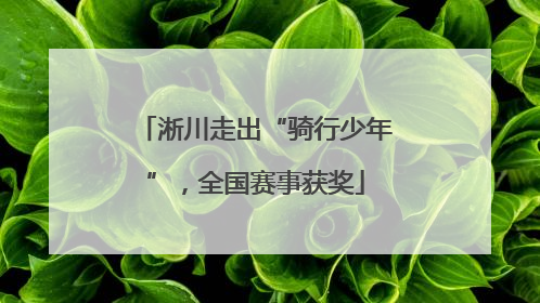 淅川走出“骑行少年”，全国赛事获奖