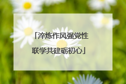 淬炼作风强党性 联学共建砺初心