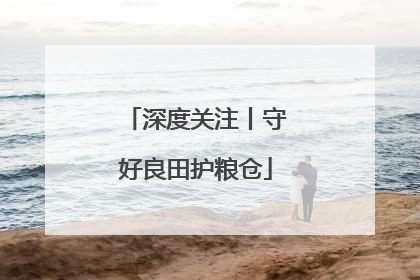 深度关注丨守好良田护粮仓