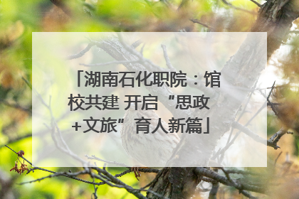 湖南石化职院：馆校共建 开启“思政+文旅”育人新篇