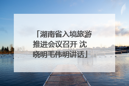湖南省入境旅游推进会议召开 沈晓明毛伟明讲话