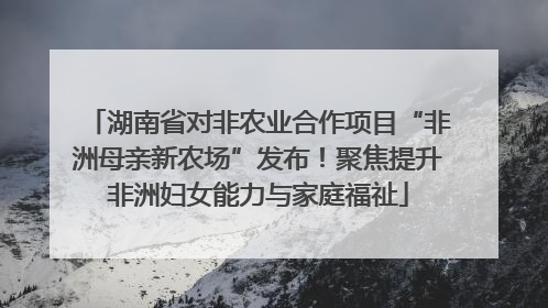 湖南省对非农业合作项目“非洲母亲新农场”发布！聚焦提升非洲妇女能力与家庭福祉
