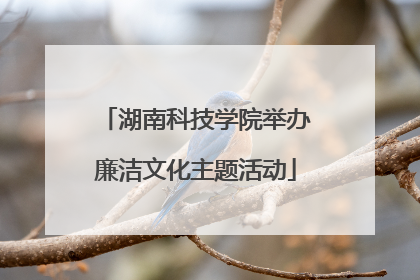 湖南科技学院举办廉洁文化主题活动