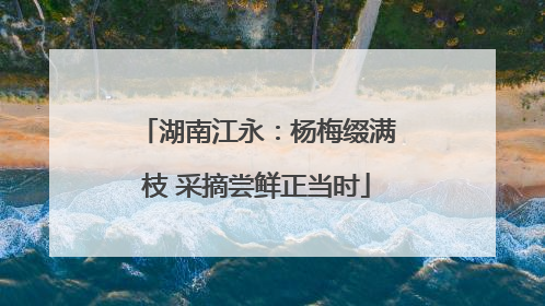 湖南江永：杨梅缀满枝 采摘尝鲜正当时
