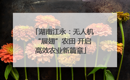 湖南江永：无人机“展翅”农田 开启高效农业新篇章