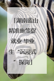 湖南蓝山精准施策促就业 毕业生“沉浸式”探岗