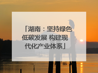 湖南：坚持绿色低碳发展 构建现代化产业体系
