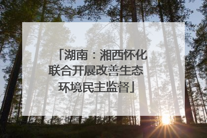 湖南：湘西怀化联合开展改善生态环境民主监督