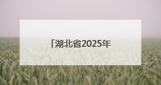 湖北省2025年“5·12”全国防灾减灾日集中宣传教育活动在汉启动