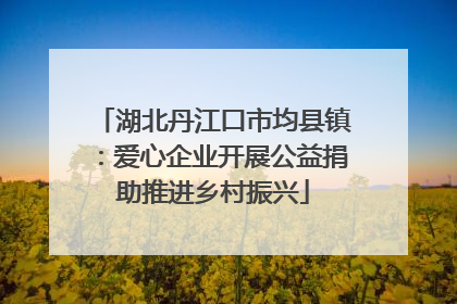 湖北丹江口市均县镇：爱心企业开展公益捐助推进乡村振兴