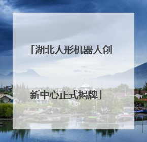 湖北人形机器人创新中心正式揭牌
