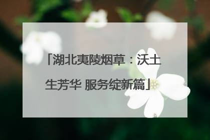湖北夷陵烟草：沃土生芳华 服务绽新篇