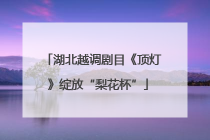 湖北越调剧目《顶灯》绽放“梨花杯”