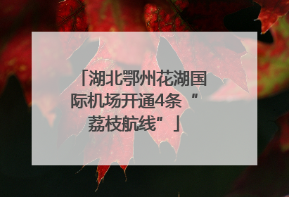 湖北鄂州花湖国际机场开通4条“荔枝航线”