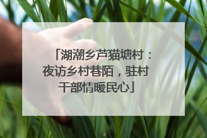 湖潮乡芦猫塘村：夜访乡村巷陌，驻村干部情暖民心