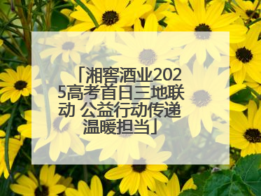 湘窖酒业2025高考首日三地联动 公益行动传递温暖担当