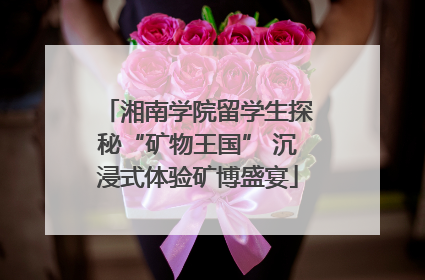湘南学院留学生探秘“矿物王国” 沉浸式体验矿博盛宴