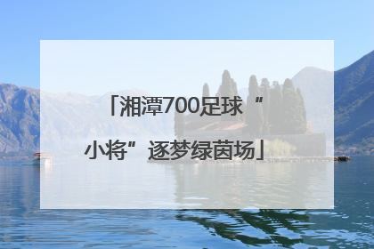 湘潭700足球“小将”逐梦绿茵场