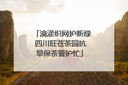 滴灌织网护新绿 四川旺苍茶园抗旱保茶管护忙