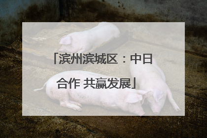 滨州滨城区：中日合作 共赢发展