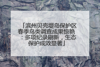 滨州贝壳堤岛保护区春季鸟类调查成果惊艳：多项纪录刷新，生态保护成效显著