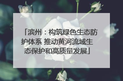 滨州：构筑绿色生态防护体系 推动黄河流域生态保护和高质量发展