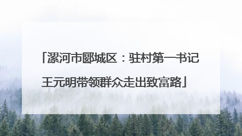 漯河市郾城区：驻村第一书记王元明带领群众走出致富路