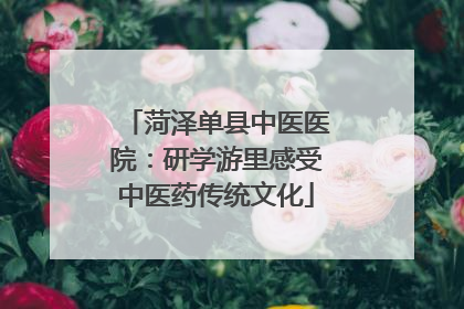 菏泽单县中医医院：研学游里感受中医药传统文化